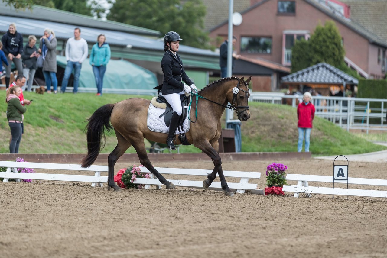 Bild 456 - Pony Akademie Turnier